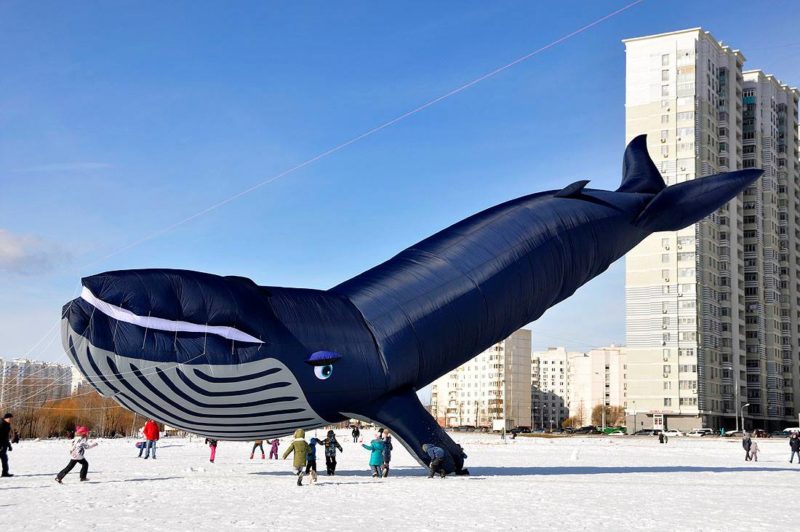 Зимой дети бегут по полю к воздушному змею в форме кита на фоне многоэтажных домов