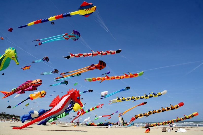 Воздушные змеи в форме морского конька, рыбы, многоножек, совы и абстрактные летают над морским песчаным пляжем
