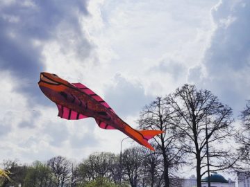 Воздушный змей в форме рыбы летает на фоне стволов деревьев и облаков