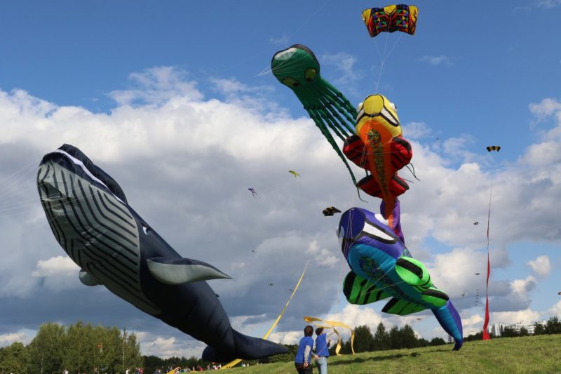 Люди в поле запускают воздушных змеев в форме кита, рыб, осьминога на фоне облаков