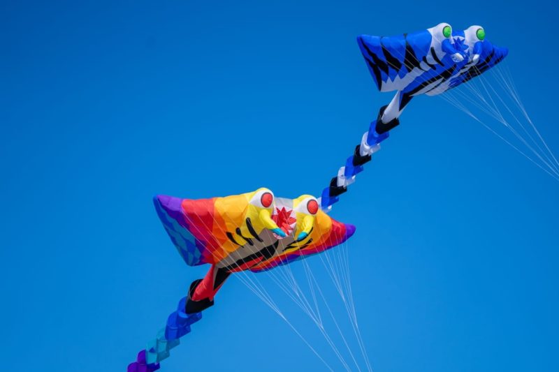 Воздушные змеи в форме манты на фоне голубого неба