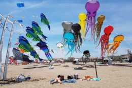 Воздушные змеи в форме осьминогов, трилобитов и рыб летают над песчаным пляжем