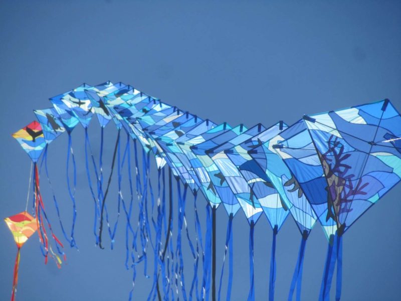 Воздушные змеи в форме ромба голубого цвета с хвостами запущенные поездом на фоне голубого неба